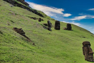 Moais, Şili 'nin Paskalya Adası' ndaki Rano Raruku yanardağının yamaçlarında Rapa Nui Ulusal Parkı 'nda..