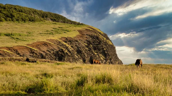 Vadlovak Háttérvilágítás Sunset Húsvét Szigeten — Stock Fotó