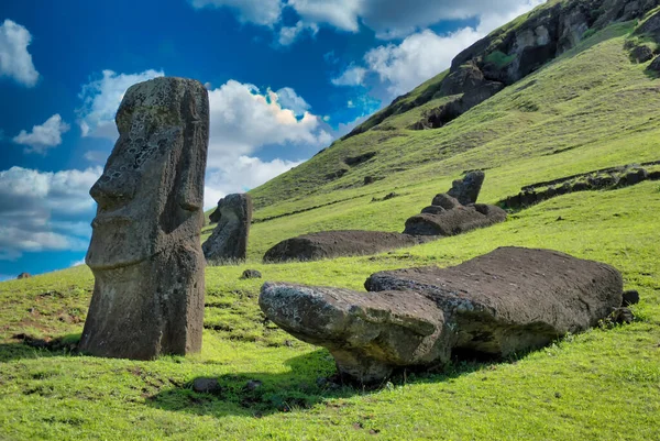 Moais, Şili 'nin Paskalya Adası' ndaki Rano Raruku yanardağının yamaçlarında Rapa Nui Ulusal Parkı 'nda..