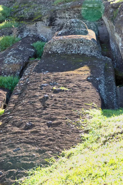 Detta Den Största Moai Någonsin Snidat Påskön Det Sitter Fortfarande — Stockfoto