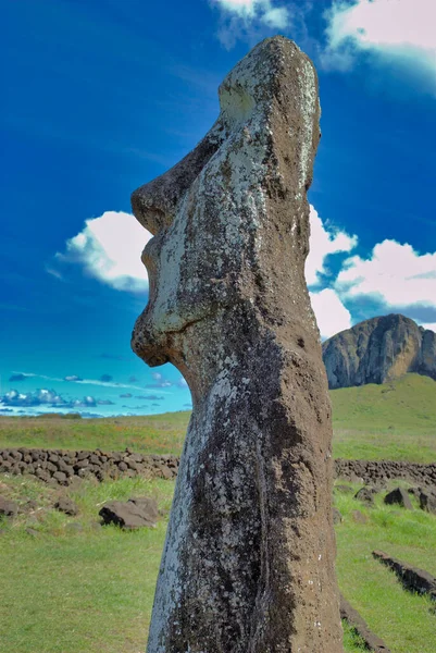 Moais Στο Εθνικό Πάρκο Rapa Nui Στις Πλαγιές Του Ηφαιστείου — Φωτογραφία Αρχείου