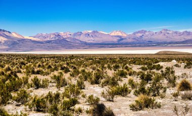 Salar de Talar ve çevresindeki volkanlar, Atacama Çölü, Şili