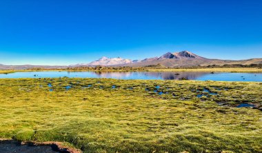 San Pedro de Atacama yakınlarındaki And Dağları Şili Antofagasta bölgesi..