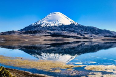 Volkan Parinacota (6342 m), Lauca Ulusal Parkı, Şili