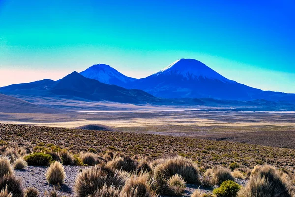 Volcans Parinacota Pomerape Dessus Horizon Dessus Des Lagunes Cotacotani Arrose — Photo