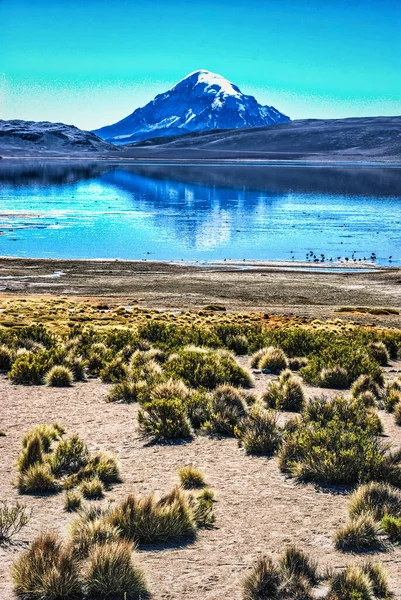 Wulkan Parinacota Jezioro Chungara Chile — Zdjęcie stockowe