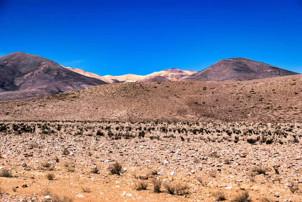 Désert Atacama Est Plateau Désertique Amérique Sud Couvrant Une Bande — Photo