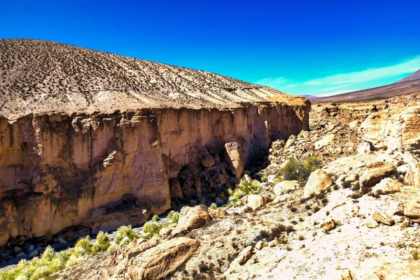 Large River Canyon Rio Camarones Running Atacama Desert Arica Parinacota — Stock Photo, Image