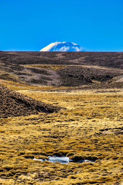 Die Landschaft Nordchiles Mit Den Anden Und Vulkanen Mit Schnee — Stockfoto