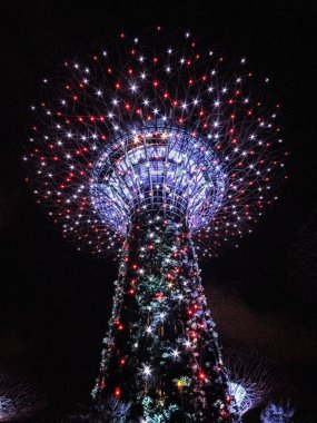Singapur, Singapur - 08 Ağustos 2018: Singapur Körfezi yakınlarındaki Gardens 'taki Supertrees Grove' un gece manzarası. 101 hektar genişliğinde ve Bayfront MRT İstasyonu 'ndan beş dakikalık yürüyüş mesafesinde.