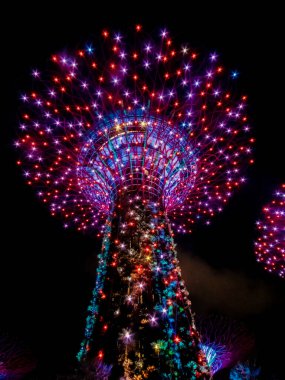 Singapur, Singapur - 08 Ağustos 2018: Singapur Körfezi yakınlarındaki Gardens 'taki Supertrees Grove' un gece manzarası. 101 hektar genişliğinde ve Bayfront MRT İstasyonu 'ndan beş dakikalık yürüyüş mesafesinde.