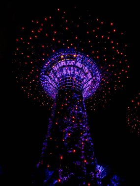 Singapur, Singapur - 08 Ağustos 2018: Singapur, Singapur 'daki Garden By The Bay' deki gösteriyi izleyenler için Büyük Ağaç Işığı Gecesi