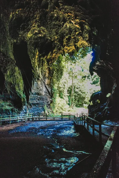 Black Cave Gomantong Caves Lower Kinabatangan Area Sandakan District Sabah — Stockfoto