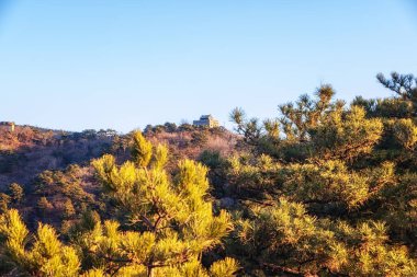 Çin Seddi, eski Çin devletleri ve İmparatorluk Çin 'in tarihi kuzey sınırlarında Avrasya Steppe' inden gelen çeşitli göçebe gruplara karşı korunmak için inşa edilmiş bir dizi tahkimattır..