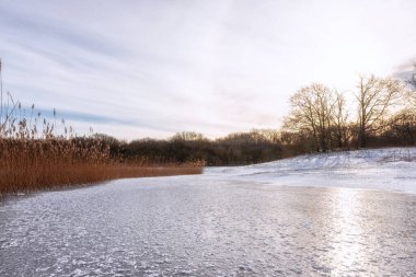 Noordhollands 'ta kış, Duinreservaat, Hollanda Kıyı Bölgesi ve kışın sazlıklar