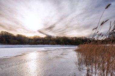 Noordhollands Duinreservaat, Hollanda Kıyı Bölgesi, Hollanda