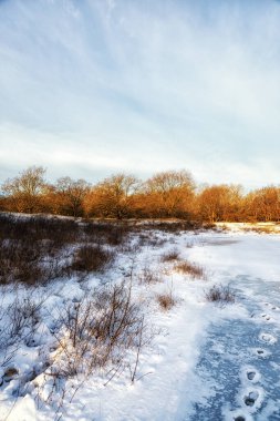 Karlı kış manzarası ve Hollanda 'da donmuş bir göl