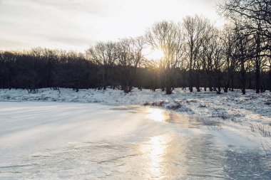 Karlı kış manzarası ve Hollanda 'da donmuş bir göl