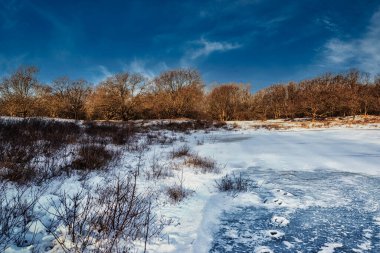 Doğal kış orman manzarası Gün batımında donmuş göl