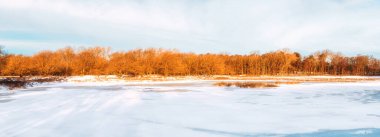 Karlı bir kış manzarası ve güzel renkleri olan bir göl. Hollanda.