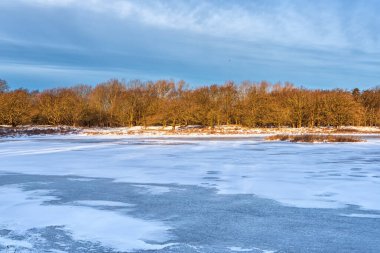 Karlı bir kış manzarası ve güzel renkleri olan bir göl. Hollanda.