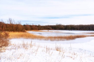 Hollanda Doğa Rezervi, Kuzey Hollanda, Hollanda 'da Kış