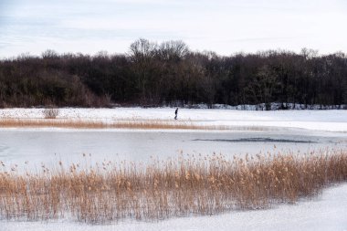 Donmuş gölde buz tutmuş bir ormanda kayan bir adamla güneşli güzel bir sabah. Görüntü Hollanda 'nın kuzeyinde çekilmiştir..