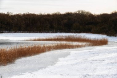 Hollanda Doğa Rezervi, Kuzey Hollanda, Hollanda 'da Kış