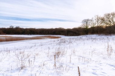 Hollanda Doğa Rezervi, Kuzey Hollanda, Hollanda 'da Kış