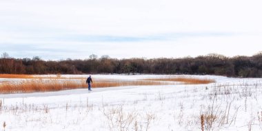 Donmuş gölde buz tutmuş bir ormanda kayan bir adamla güneşli güzel bir sabah. Görüntü Hollanda 'nın kuzeyinde çekilmiştir..