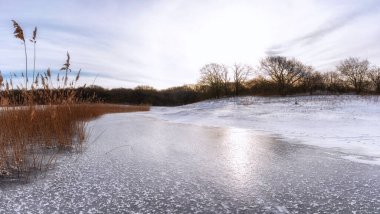 Noordhollands 'ta kış, Duinreservaat, Hollanda Kıyı Bölgesi ve kışın sazlıklar