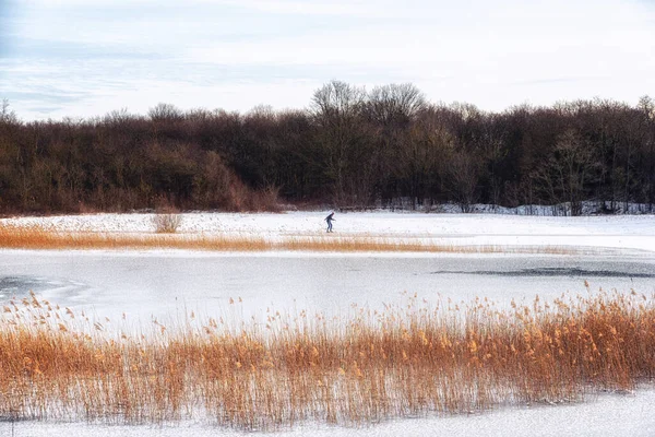 Donmuş gölde buz tutmuş bir ormanda kayan bir adamla güneşli güzel bir sabah. Görüntü Hollanda 'nın kuzeyinde çekilmiştir..