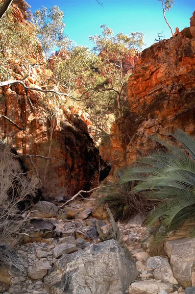 Kanion Królów Część Parku Narodowego Watarrka Terytorium Północne Australia — Zdjęcie stockowe