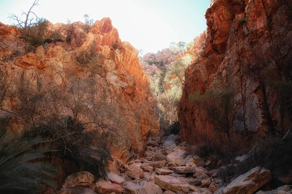 Kanion Królów Część Parku Narodowego Watarrka Terytorium Północne Australia — Zdjęcie stockowe