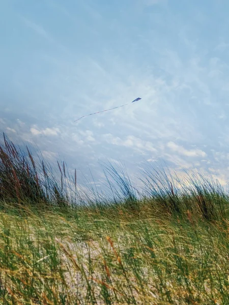 Létání Draka Při Západu Slunce Nad Dunami Nizozemsku — Stock fotografie