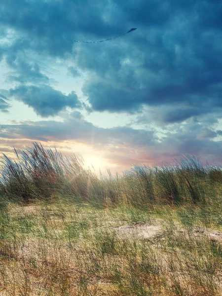 Drachenfliegen Bei Sonnenuntergang Über Den Dünen Den Niederlanden — Stockfoto