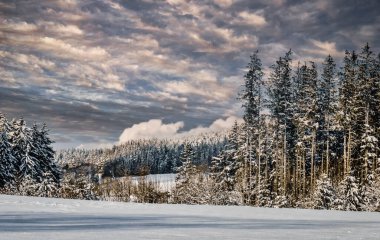 Kışın Kara Orman, Villingen-Schwenningen yakınlarında, Schwarzwald-Baar, Baden-Wurttemberg, Almanya, Avrupa