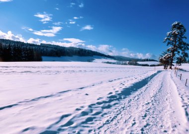 Kışın Kara Orman, Villingen-Schwenningen yakınlarında, Schwarzwald-Baar, Baden-Wurttemberg, Almanya, Avrupa