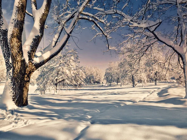 Bela Paisagem Inverno Nas Montanhas Tempo Frio Neve Nas Colinas — Fotografia de Stock