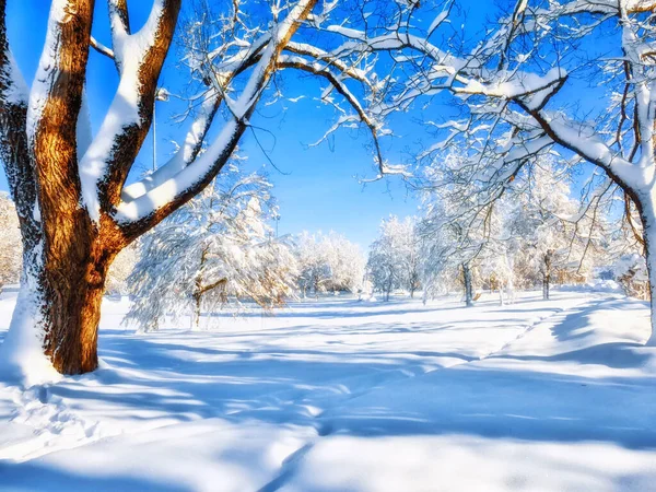 Bela Paisagem Inverno Nas Montanhas Tempo Frio Neve Nas Colinas — Fotografia de Stock