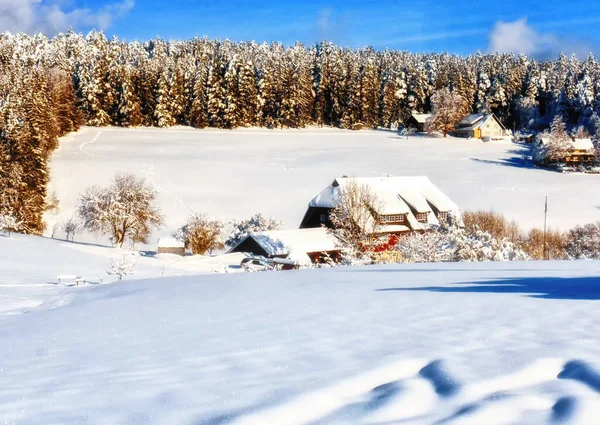 Met Sneeuw Bedekte Sparren Een Lodge Het Zuidelijke Zwarte Woud — Stockfoto