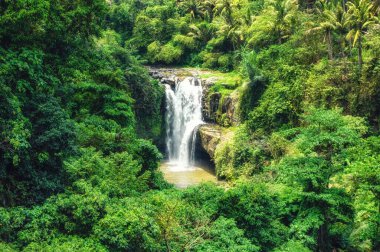 Endonezya, Bali 'de Ubud yakınlarında İnanılmaz Tegenungan Şelalesi