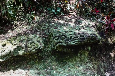 Yosun, ormandaki heykelleri, Goa Gajah Fil Mağarası kompleksini, Bali 'yi, Endonezya' yı, Güneydoğu Asya 'yı, Asya' yı kapsıyordu.