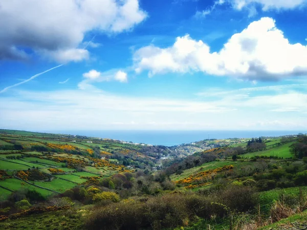 Rezerwat Przyrody Dalby Mountain Moorland Wyspa Man — Zdjęcie stockowe