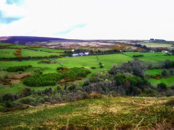 Dalby Mountain Moorland Nature Reserve Isla Man — Foto de Stock