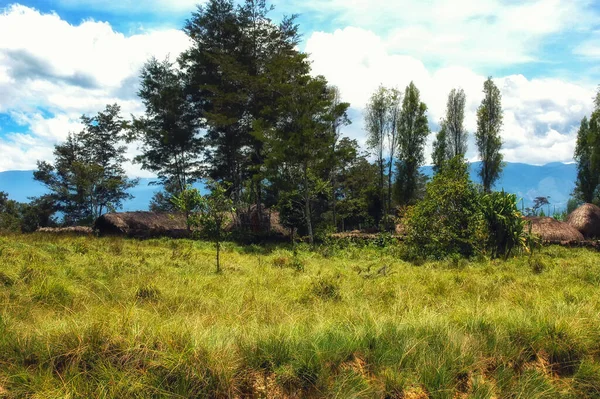 Indonésia Irian Jaya Vale Baliem Região Wamena Cabanas Papua — Fotografia de Stock