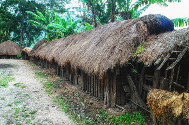 Papua Yeni Gine 'deki geleneksel Dani köyü, Wamena, Endonezya.