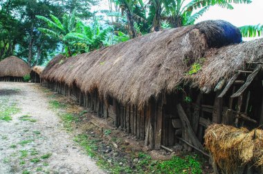 Traditional Dani village in Papua New Guinea, Wamena, Indonesia. clipart