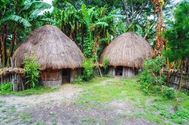 Papua Yeni Gine 'deki geleneksel Dani köyü, Wamena, Endonezya.