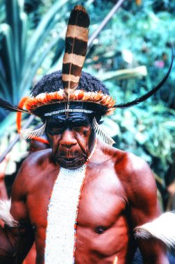 Baliem Vadisi, Batı Papua, Endonezya, 07 Ekim 2008: Baliem Vadisi 'nin Dani kabilesi halkı geleneksel kıyafetleriyle